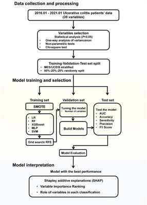 Predictive models for endoscopic disease activity in patients with ulcerative colitis: Practical machine learning-based modeling and interpretation